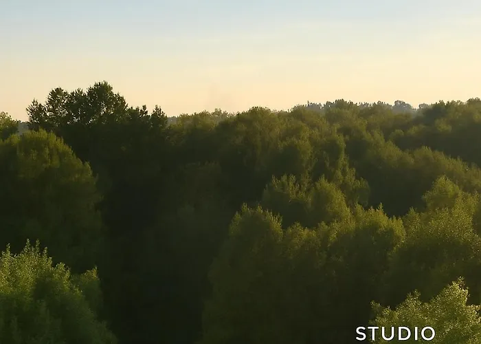 Ypsilon Mit Malerischem Ausblick Bayreuth